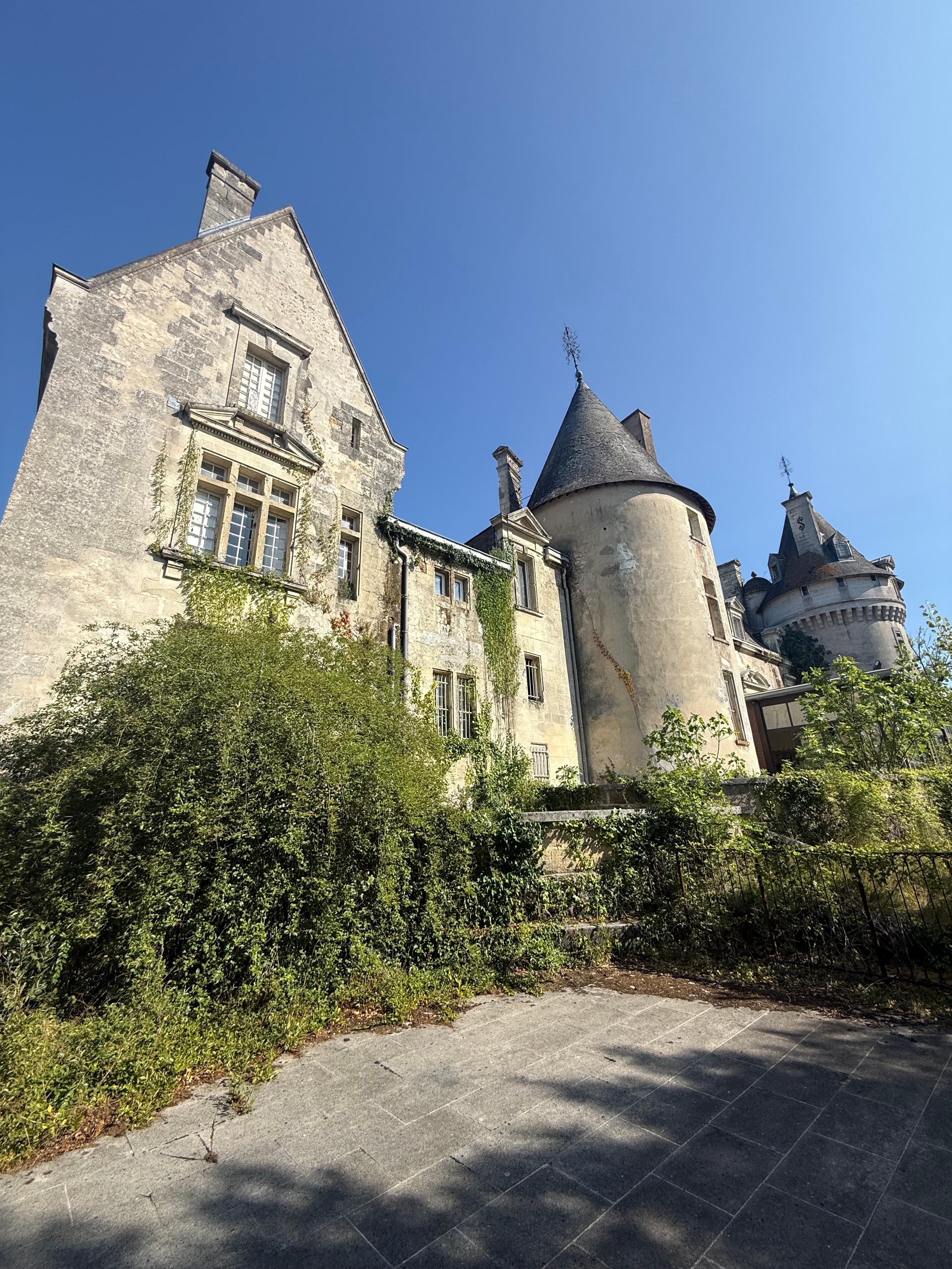 Märchenhaft wirkendes Château mit Türmen und verwildertem Park in Frankreich